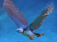 "Flying Harpy" print