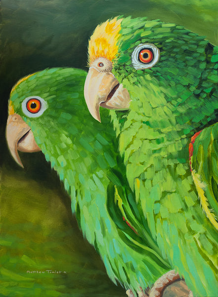 "Pair of Parrots" print